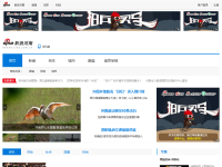 新浪河南