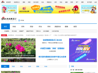 新浪黑龙江