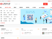 山东卫生人才网