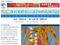 新华网辽宁频道