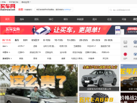 买车网